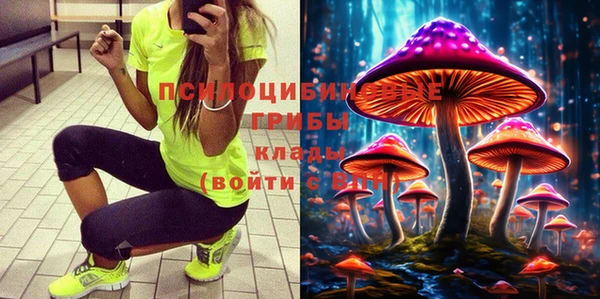 apvp Абаза