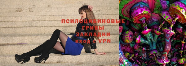 хмурый Алексеевка