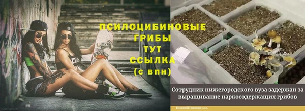 СК Алзамай
